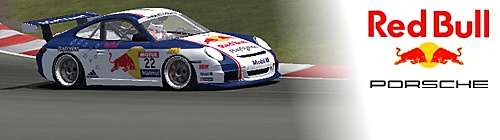 Red Bull Porsche