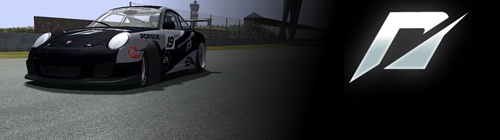 Team Need for Speed Racing