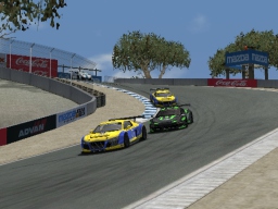 Runda 1, Laguna Seca, Wyścig